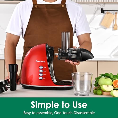 Slow Masticating Juicer