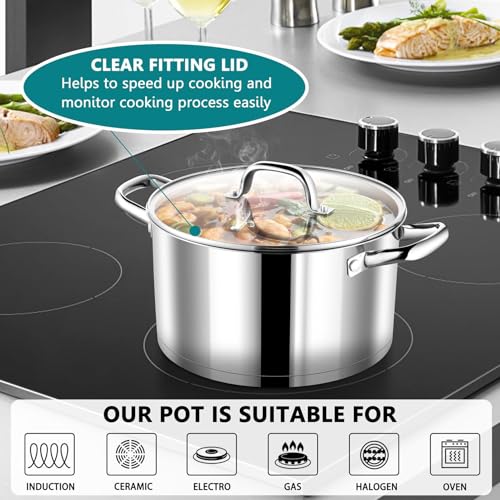 6 Quarts Stock Pot with Lid (6 Quarts)