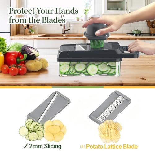 15-in-1 Vegetable Chopper 10 Blades, Veggie Cutter with Handle, Grey (Gray / 10 blades)