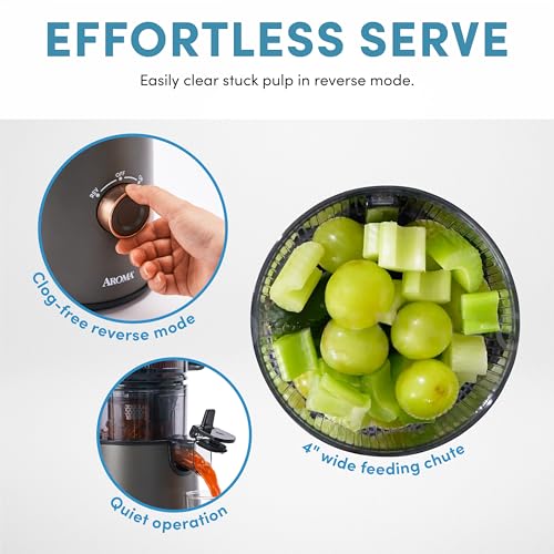 Cold Press Juice Machine Slow Masticating Fruit and Vegetable Juicer for Home with Large 4 (Gray)