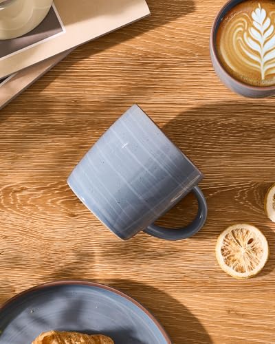 Coffee Mugs Set of 4 (Meteor-Blue Gray / 4 Count (Pack of 1))