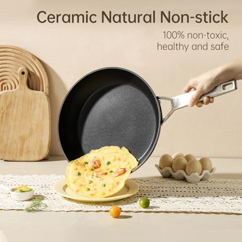 11 Inch Nonstick Frying pan (11 Inch)