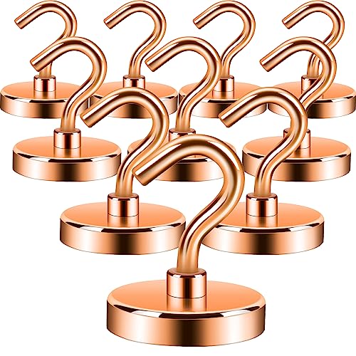 Magnetic Hooks (10 Count)