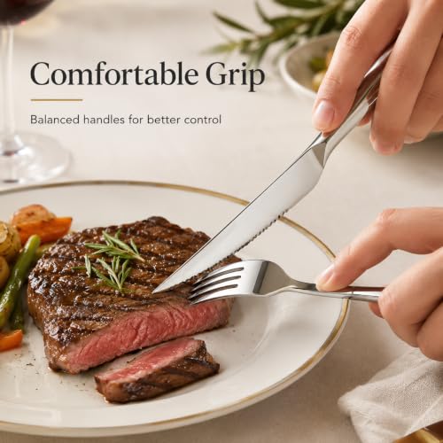 20 Piece Steak Knife and Fork Set for 10 (20-piece Set For 10)