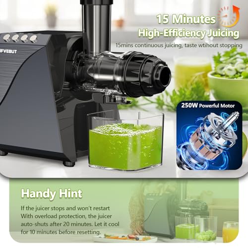 2-In-1 Masticating Fruit Vegetable Juicer Machine & Electric Coffee Grinder (Black)