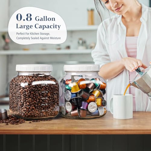 0.8Gal Glass Jar with Lid (0.8 Gallon)