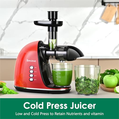 Slow Masticating Juicer