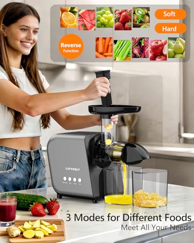 Cold Press Masticating Juicer 250W Slow Extractor for Whole Celery & Carort (Sliver)