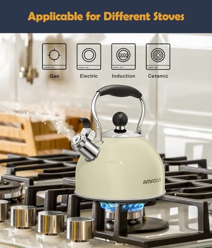 Tea Kettle 2 Quart Stainless Steel Whistling Tea Kettle (White)