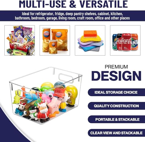 Clear Plastic Storage Bins (10 X 6 X 5.1)