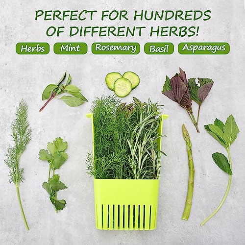 3 Pack Fresh Herb Keeper for Refrigerator (3 Pack)