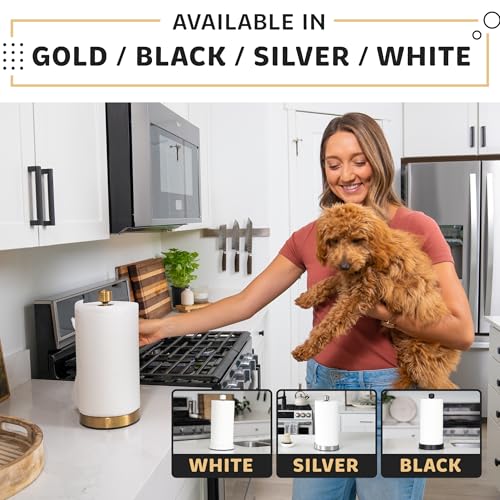 Heavy Duty Stainless Steel Paper Towel Holder (Gold)