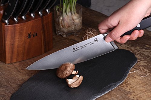 TV2 Series 1023053 Swedish 14C28N Steel Forged 17 (17-Piece Knife Block Set)