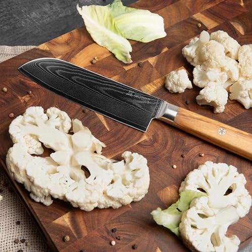 Magnetic Kitchen Knife Block Set (Olive / 6-Piece)