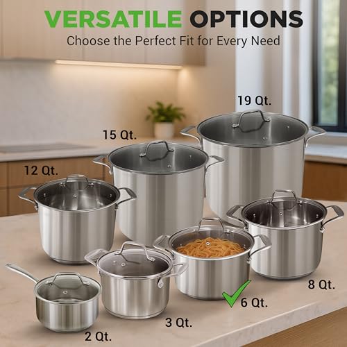 6 Quart Stainless Steel Stock Pot with Lid (Stainless Steel / 6 Quarts)