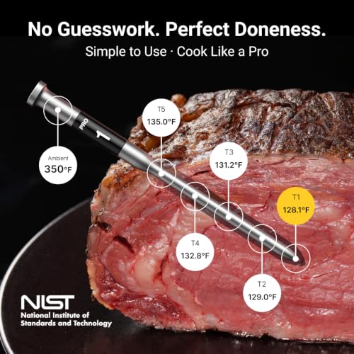 Sub 1G Wireless Meat Thermometer (Orange)