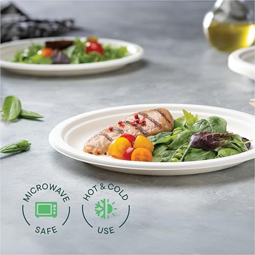 100% Compostable Paper Plates 10 Inch Bulk [500 Count] Heavy (10 inch Round -- 500 Pack)
