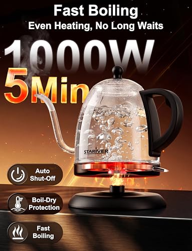 Gooseneck Electric Kettle (Silver)