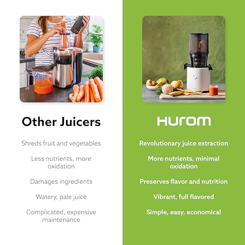 H320N Cold Press Juicer Machine (White Slow Juicer)