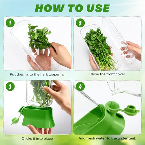 2 Pcs Herb Saver for Refrigerator Fresh Herb Keeper (Green)
