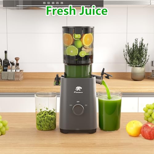 Cold Press Juicer Machines (Grey)