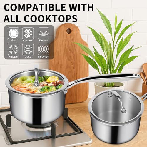 3 Ply Stainless Steel Sauce Pan Set with Lids (1 + 2 Quarts)
