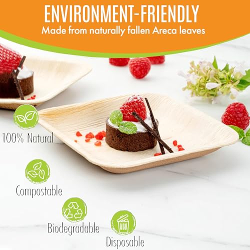 Raj Leaf Disposable Heavy Duty 6" Square Plates 200 Pack (200 / 6" Square Plates)