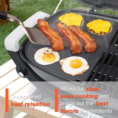 Cast Iron Griddle for Weber Q2000N (16" x 11.2" x 0.4")