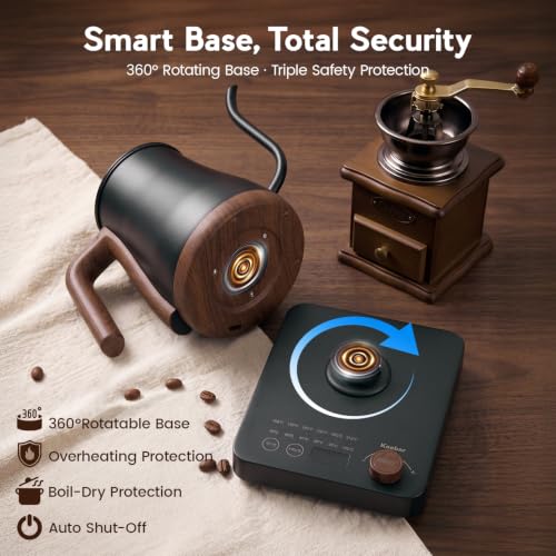 Gooseneck Electric Kettle (Black)