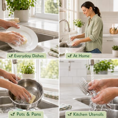 Botanicals Liquid Dish Soap (24 Fl Oz (Pack of 1))