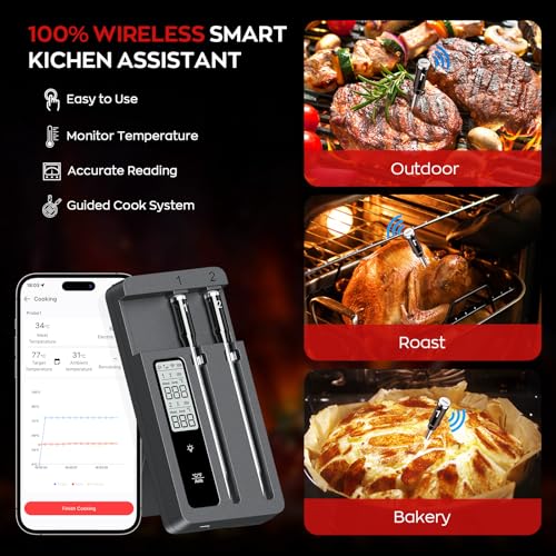 Smart Wireless Meat Thermometer with Dual Probes