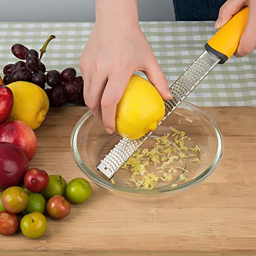 Lemon Zester Hand Cheese Grater