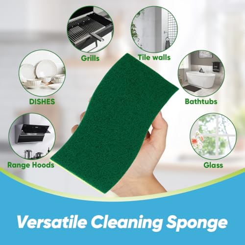 Sponges Kitchen (6 Count)