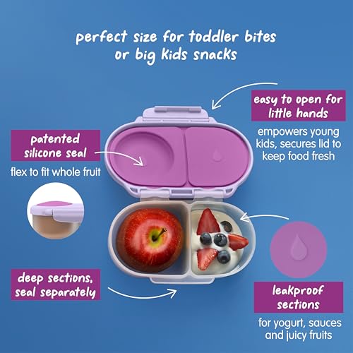 Snack Box Snack Containers for Kids (1-pack / Suger Plum)