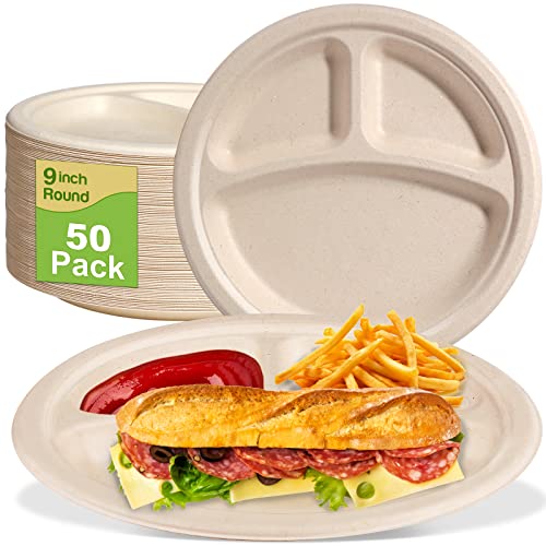 9 Inch Compartment Paper Plates (9 inch sectional 50 pack)