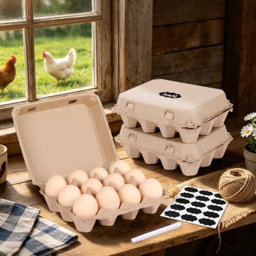 25 Pack Egg Cartons Bulk (3x4 Style - 25Pack)
