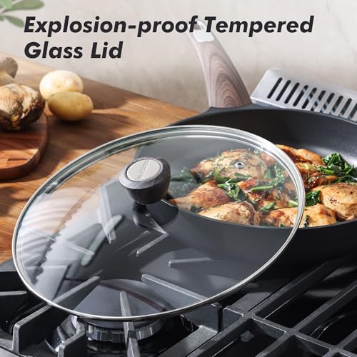 11inch Nonstick Frying Pan Paella Pan with Lid (11 Inch / NIGHT Black)