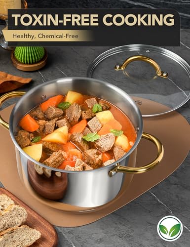 Stainless Steel Pots (10 Quarts)