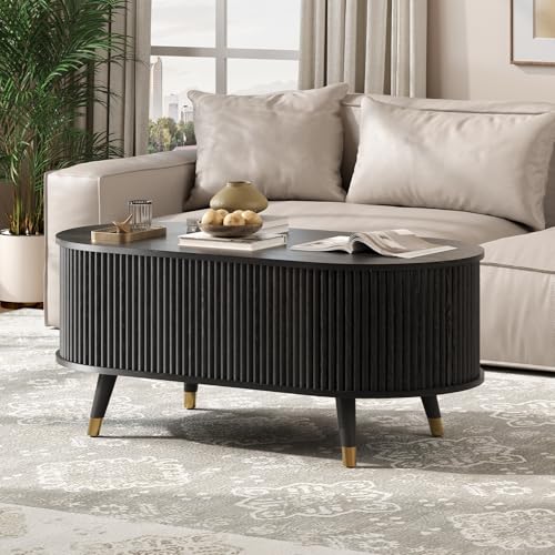 Oval Lift Top Coffee Table with Storage for Living Room (Matte Black)