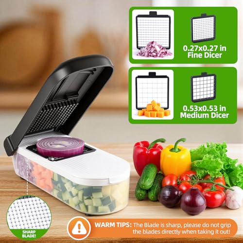 Vegetable Chopper with Container (Black / 12 in 1)