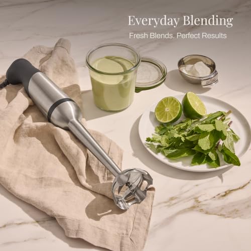 Electrics Stainless Steel Immersion Blender 2 Piece Turbo Function 600 Watts Detachable (9-1/4-inch)