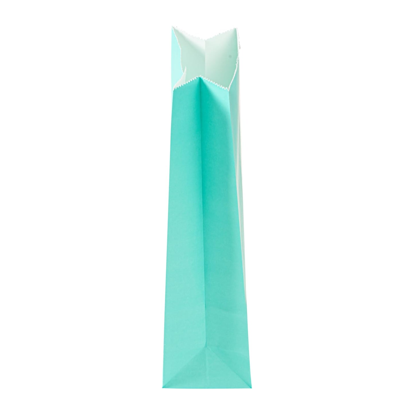 Turquoise Paper Bag (2 lb / Turquoise)