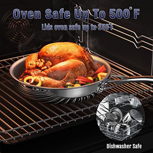 Multi Ply Clad Stainless Steel 10 (Silver / 10-Inch with Lid)
