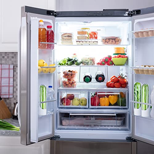 Herb Saver Pod Herb Keeper Vegetable Fresh Cilantro Containers for Refrigerator Keeping Bottle Herb Preserver for Mint Fridge Storage