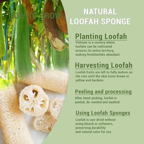 Natural Loofah Kitchen Scrubbing Pads (4 Count)