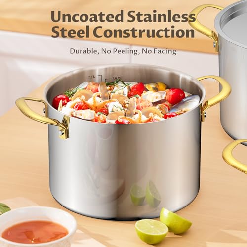 8 QT Stainless Steel Stock Pot with Lid (8 Quarts)