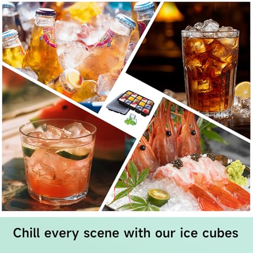 Ice Cube Trays Set of 2 (Black)