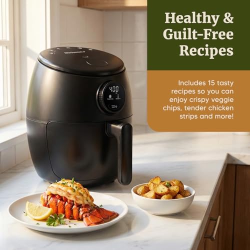 2.1Qt Programmable Personal Air Fryer