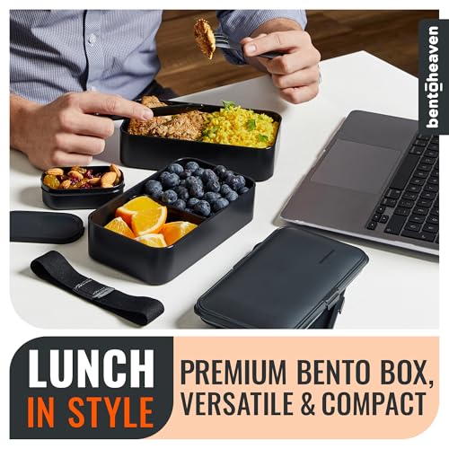 Bento Box Adult