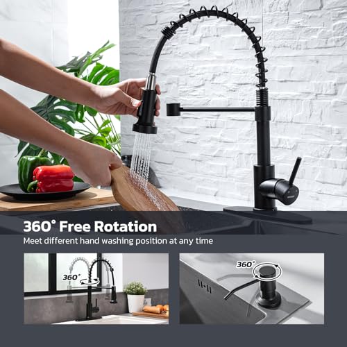 Kitchen Faucet with Soap Dispenser (Matte Black)